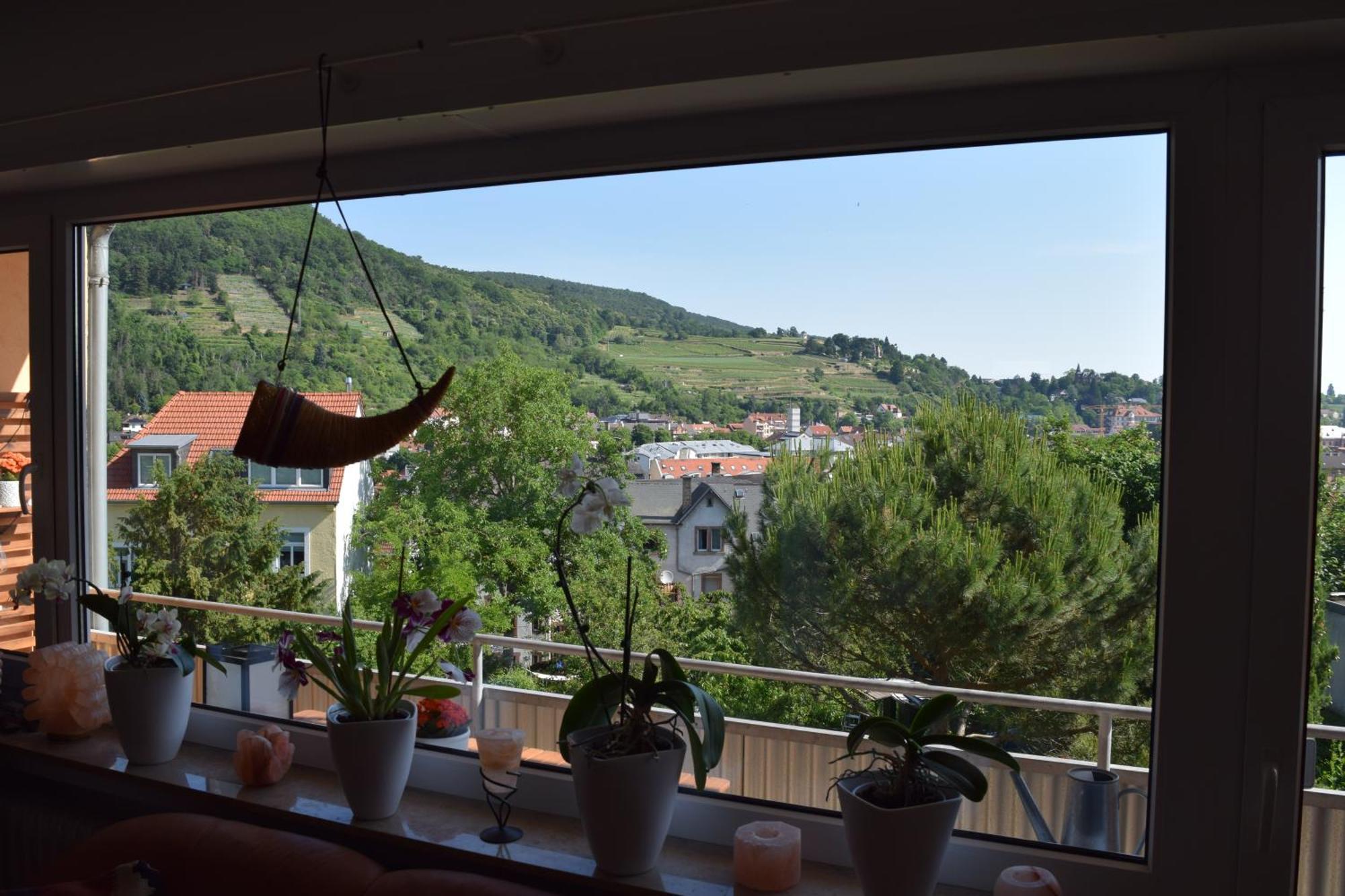 Ferienwohnung Ruth Нойштадт-ан-дер-Вайнштрасе Екстер'єр фото